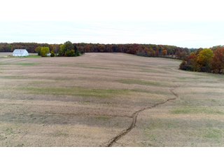 Property photo 12 - FARM AUCTION - 60.5+/- ACRES IN 5 TRACTS IN ALLEN COUNTY, INDIANA